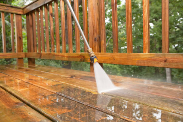 Animal Enclosure Cleaning in North Braddock, PA